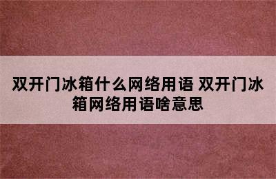 双开门冰箱什么网络用语 双开门冰箱网络用语啥意思